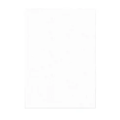 8 X 100 Feuilles azyme striées 60 x 50 cm 0,3 mm (x 800)